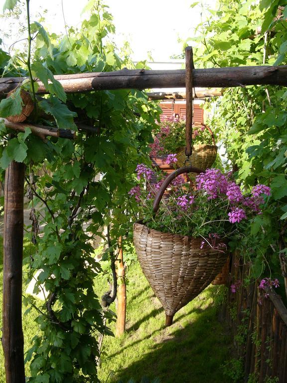 Albergo 'La Vigna' Redang Island Dış mekan fotoğraf