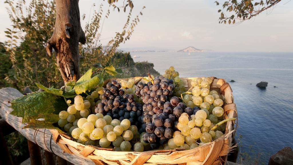 Albergo 'La Vigna' Redang Island Dış mekan fotoğraf