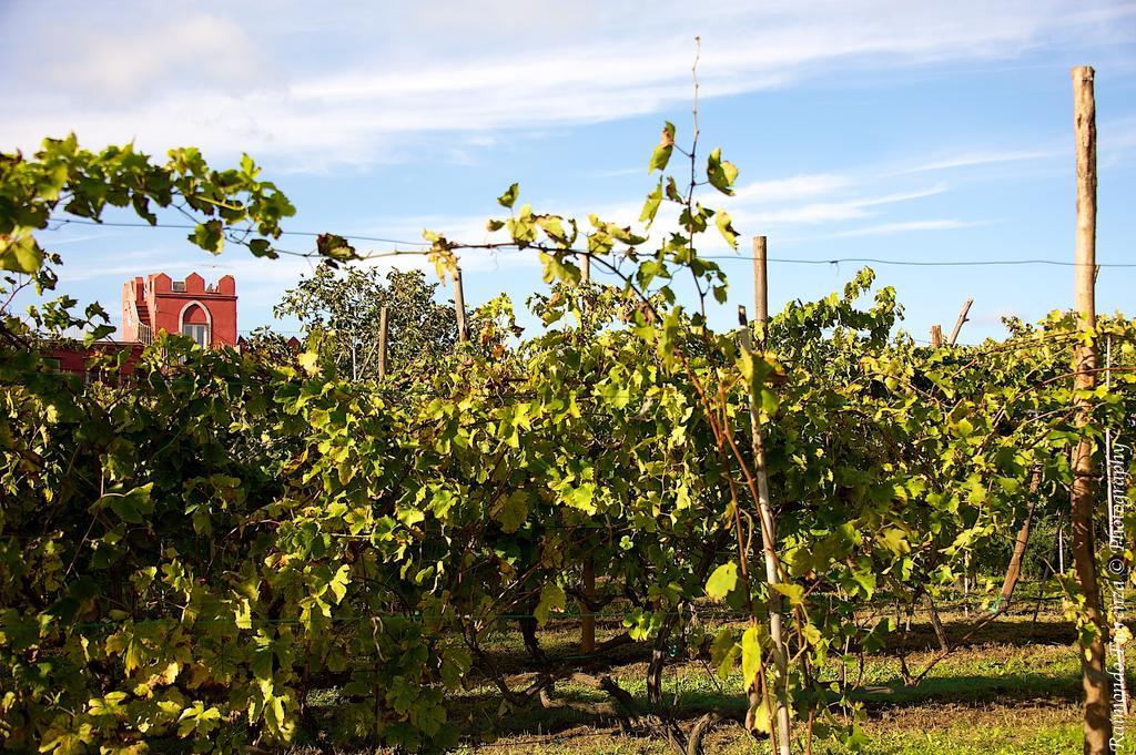 Albergo 'La Vigna' Redang Island Dış mekan fotoğraf
