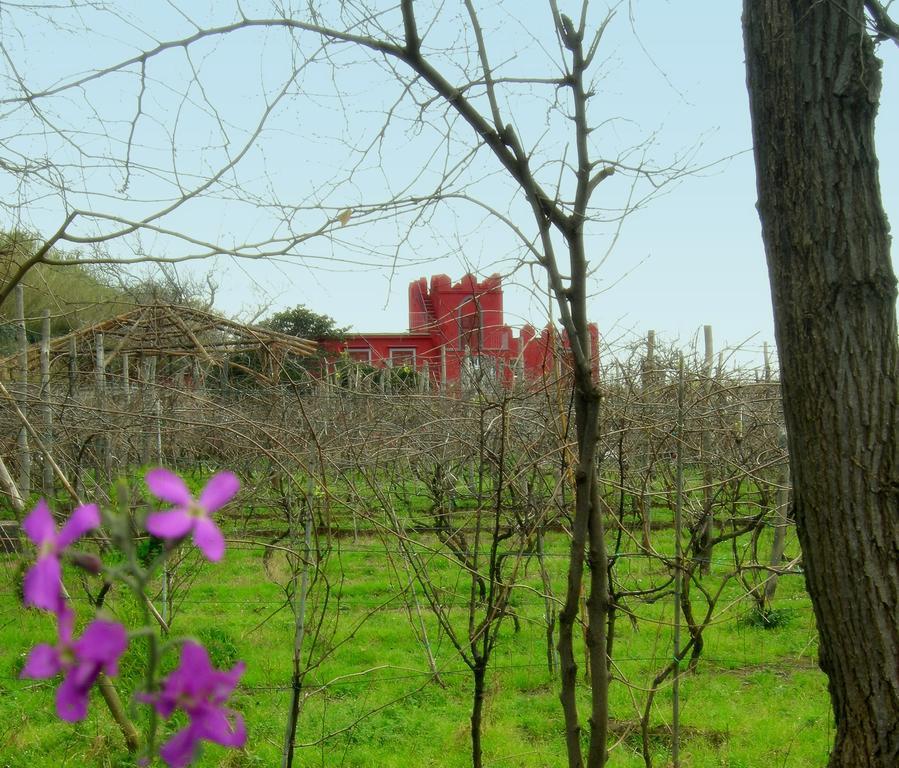Albergo 'La Vigna' Redang Island Dış mekan fotoğraf
