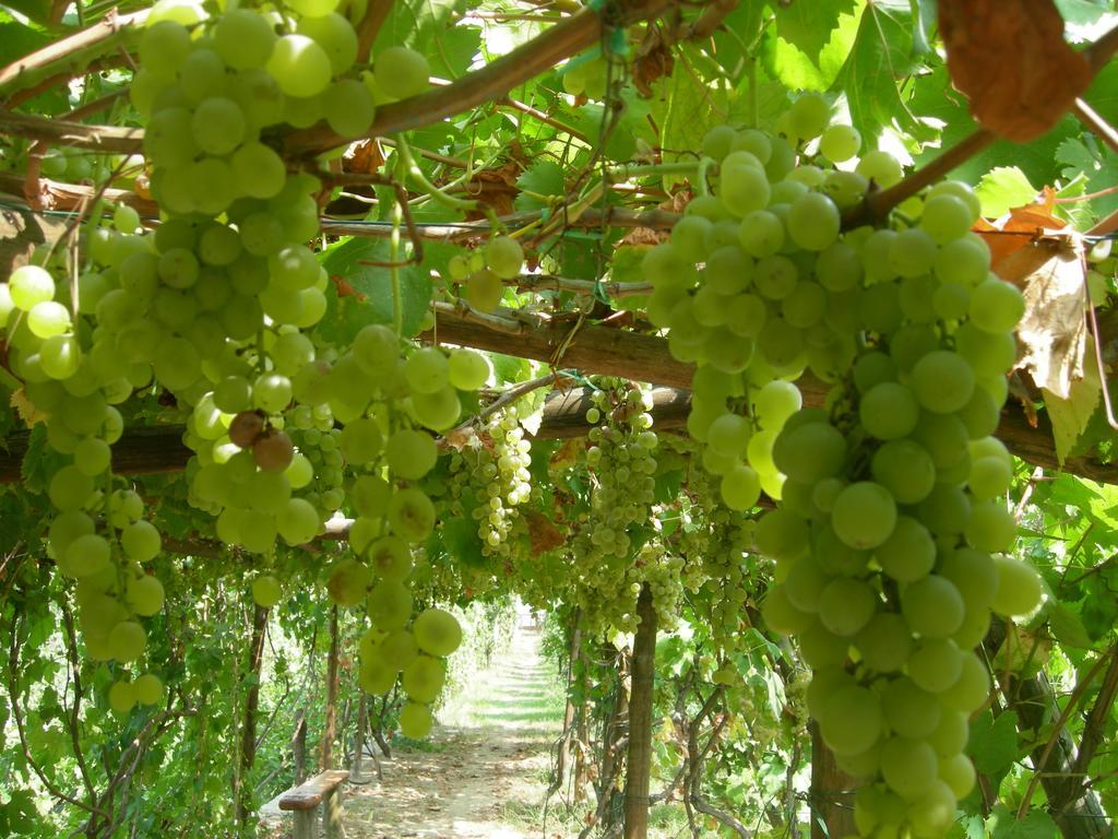 Albergo 'La Vigna' Redang Island Dış mekan fotoğraf